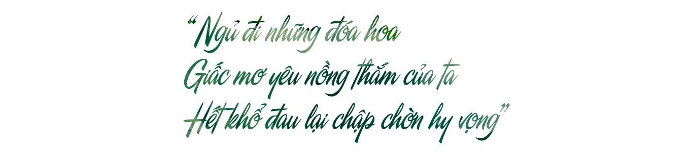 Ru hoa sen