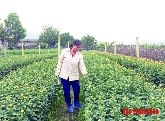 Xã Đông Lĩnh đổi thay nhờ nông thôn mới