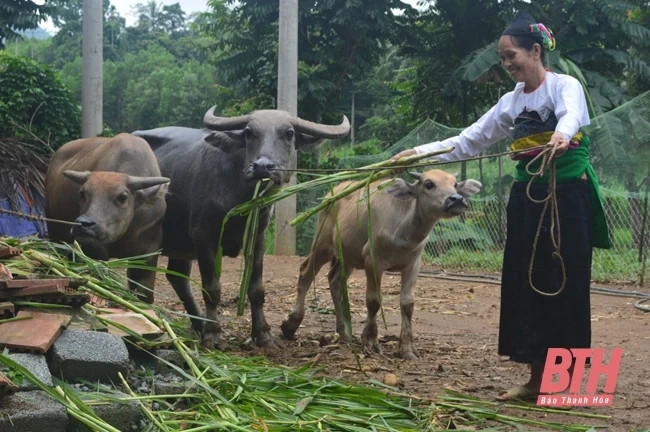 “Quả ngọt” từ tín dụng chính sách trong thực hiện mục tiêu giảm nghèo bền vững và an sinh xã hội