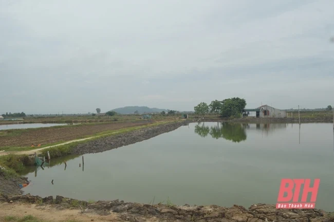 Quảng Chính vươn mình