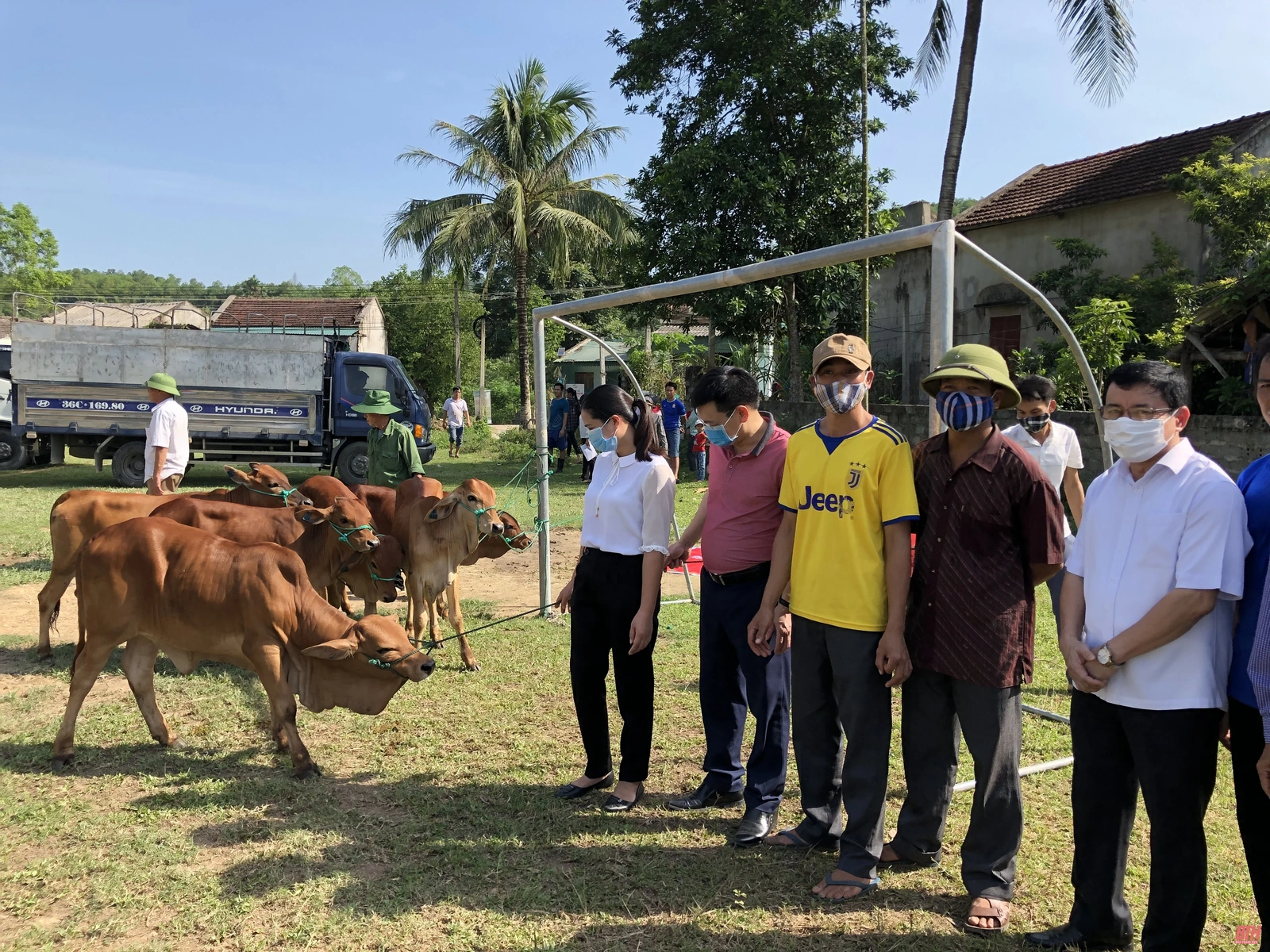Trao bò cho 36 hộ nghèo và cận nghèo xã Tân Thành, huyện Thường Xuân