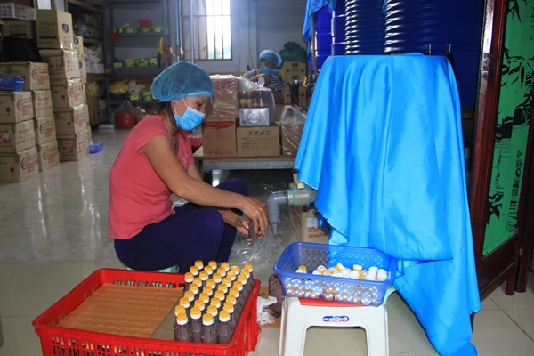 Tổng kết, đánh giá Chương trình mỗi xã một sản phẩm giai đoạn 2018 - 2020