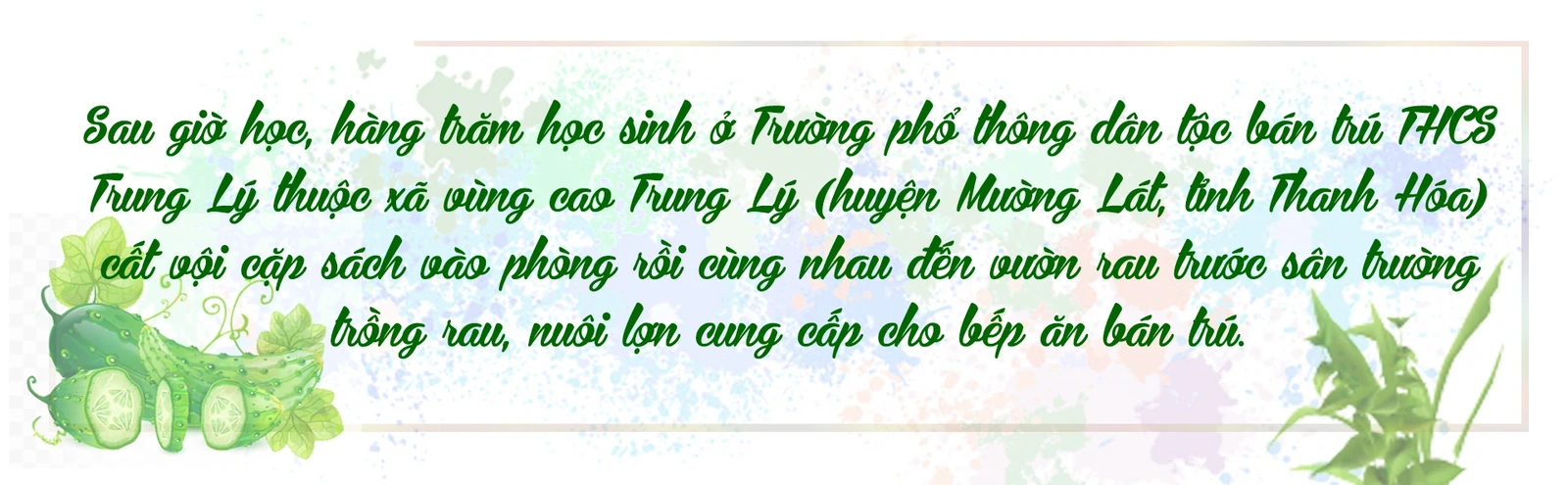 [E-Magazine] - Vườn rau sạch của học sinh vùng cao Xứ Thanh