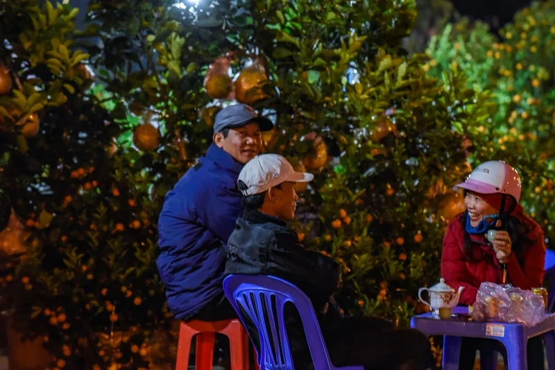 Trắng đêm trông cây cảnh Tết ở TP Thanh Hóa