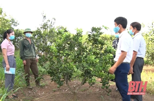 Cựu chiến binh gương mẫu trong các phong trào