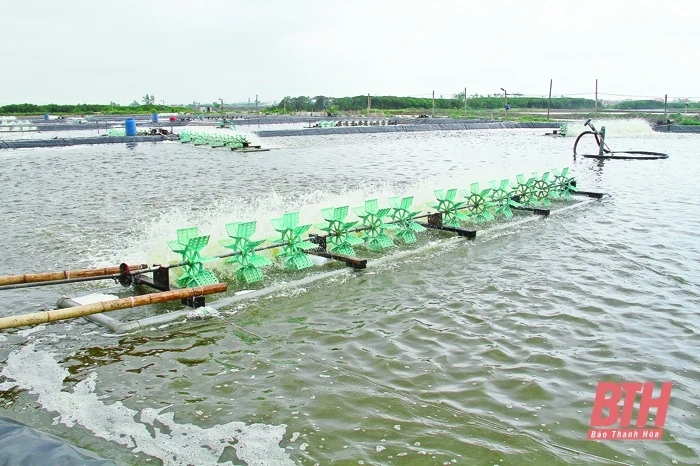 Thành tựu và khát vọng phát triển