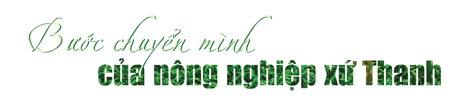 [E-Magazine] - Trang trại sinh thái Vinamilk Green Farm tại Thanh Hóa: Hướng đến nền nông nghiệp xanh, nông nghiệp của tương lai