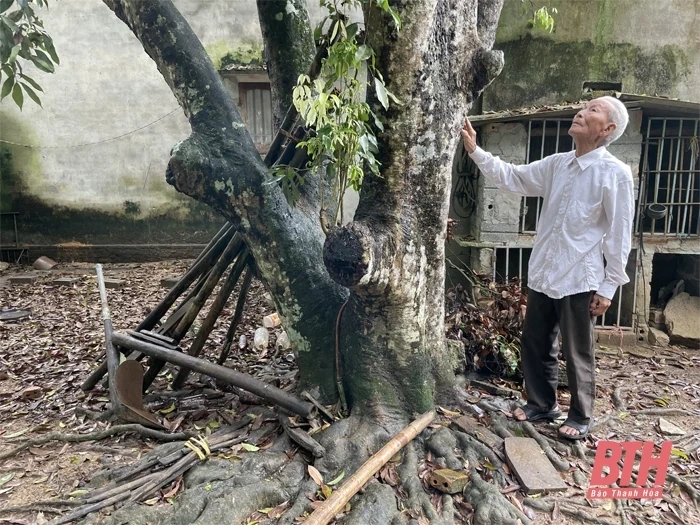 Tìm lại nơi che chở và nuôi dưỡng gia đình Hoàng thân Xu-pha-nu-vông trên đất Thanh Hóa