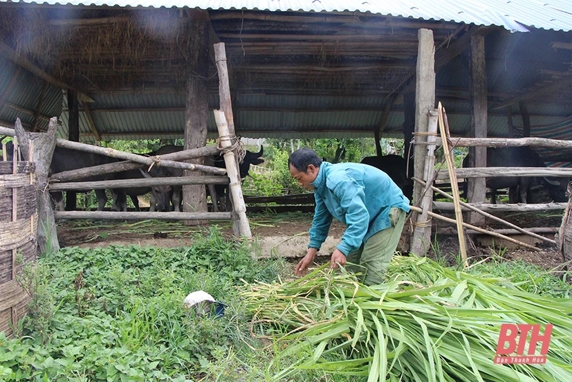 Giảm nghèo bền vững khu vực miền núi: Vượt rào cản nhận thức, khơi năng lực hành động! (Bài 1) - Quyết sách “đòn bẩy”