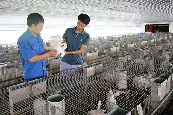 Sự dịch chuyển kết cấu kinh tế - xã hội sau sáp nhập đơn vị hành chính