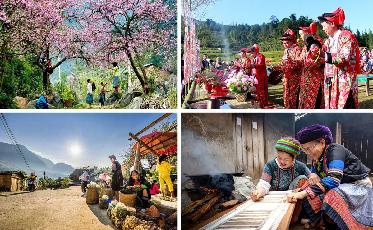 Bài 3: Liên kết để phát triển bền vững