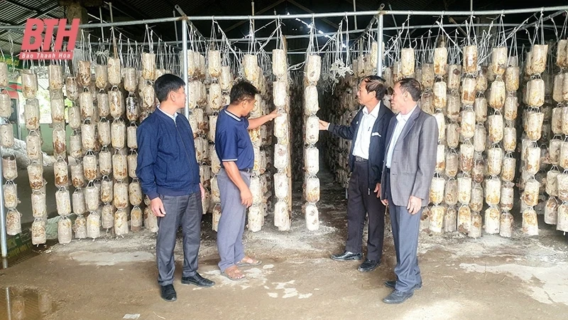 Đảng bộ huyện Như Thanh thực hiện đồng bộ các giải pháp để cán đích huyện NTM