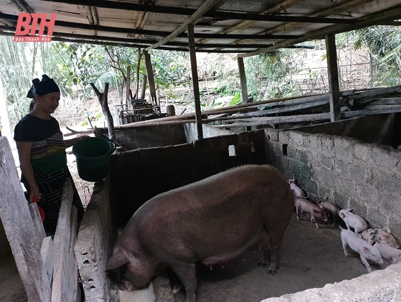 Chuyện “xuất ngoại” ở vùng cao