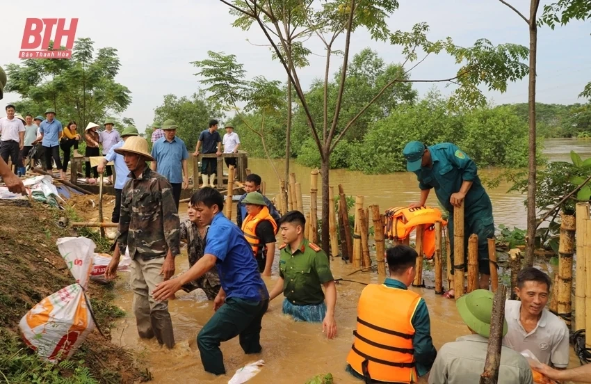 Phó Chủ tịch UBND tỉnh Lê Đức Giang kiểm tra, chỉ đạo khắc phục sự cố đê bối ở huyện Hậu Lộc