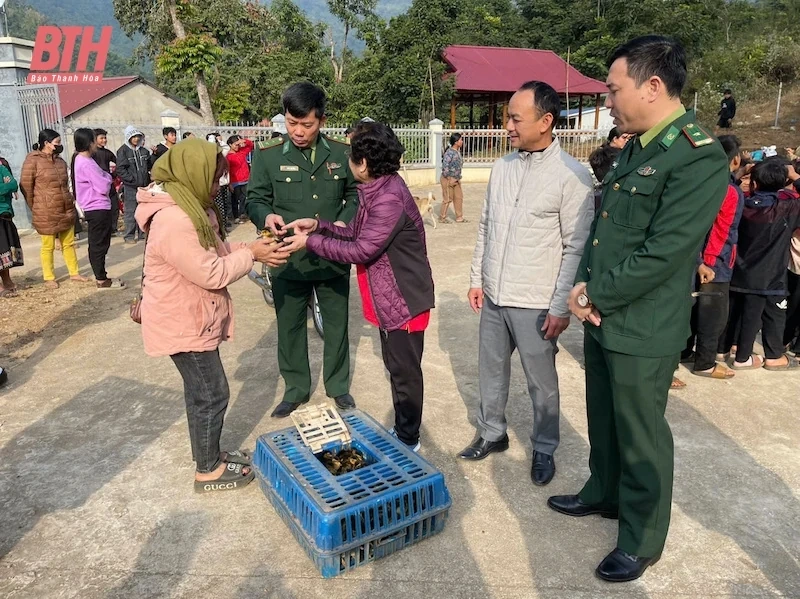 Trao tặng công trình đèn năng lượng mặt trời và con giống cho Khu phố Đoàn Kết
