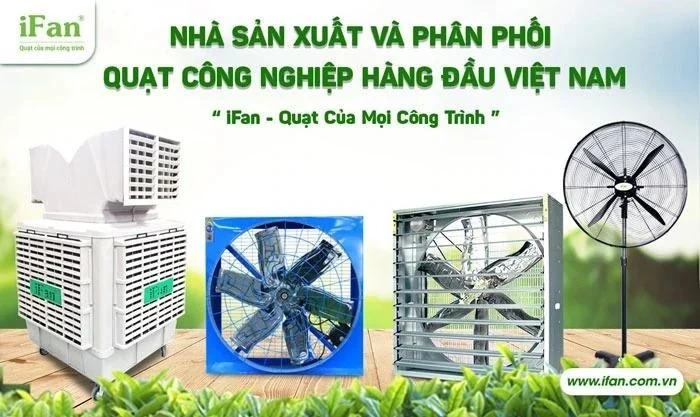 iFan Group: Đơn vị cung cấp quạt công nghiệp số 1 Việt Nam