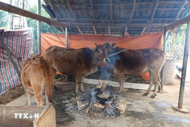 “Không để dân đói, rét, đau ốm vì rét mà không tiếp cận được dịch vụ y tế”