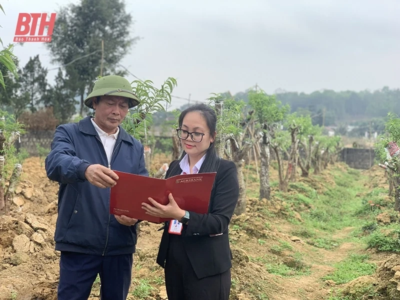 Tạo nên kênh dẫn vốn và quản lý vốn hiệu quả