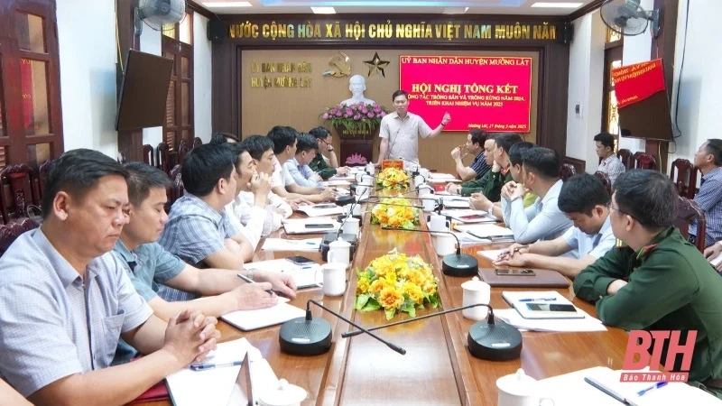 Niên vụ sắn năm 2025-2026 huyện Mường Lát duy trì diện tích 3.000 ha