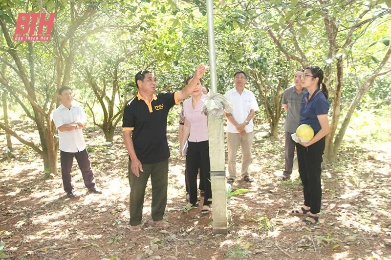 Khơi dậy đất đồi rừng Bãi Trành