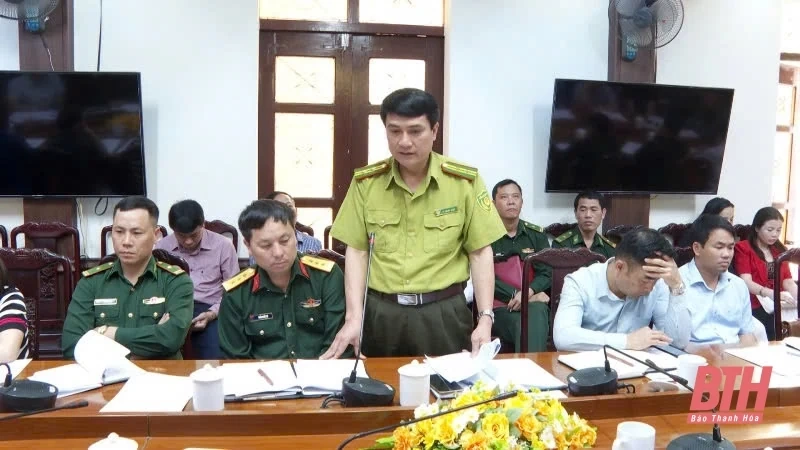 Niên vụ sắn năm 2025-2026 huyện Mường Lát duy trì diện tích 3.000 ha