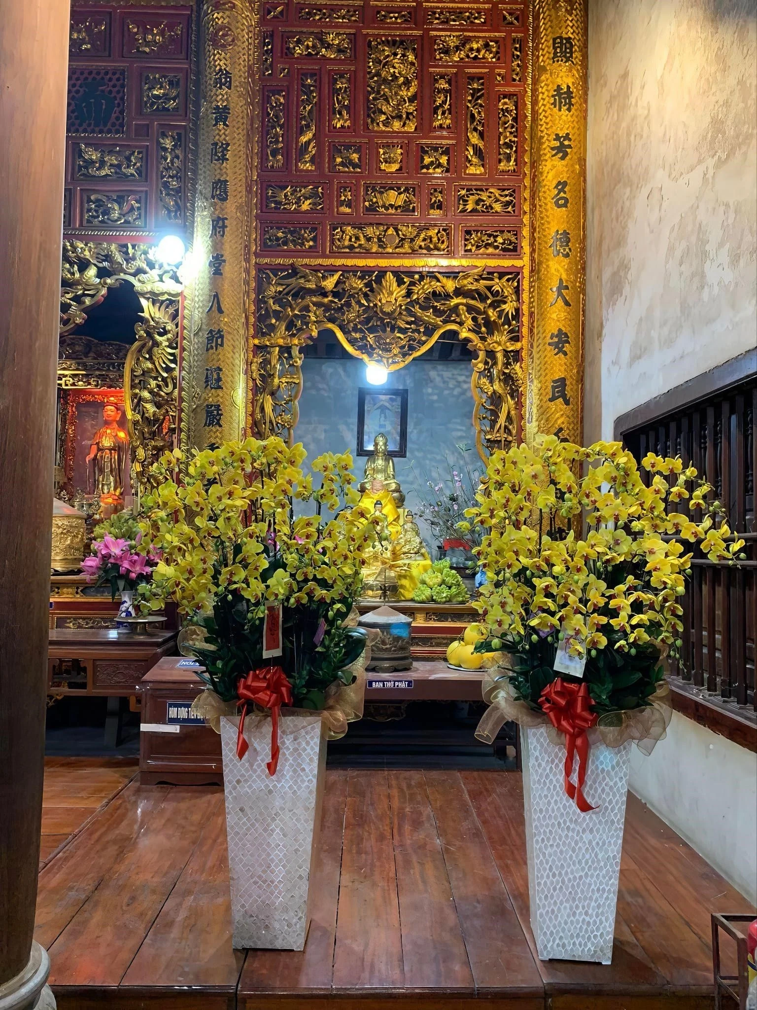 Chậu lan Hồ Điệp: Món quà ý nghĩa trong Lễ Phật Đản