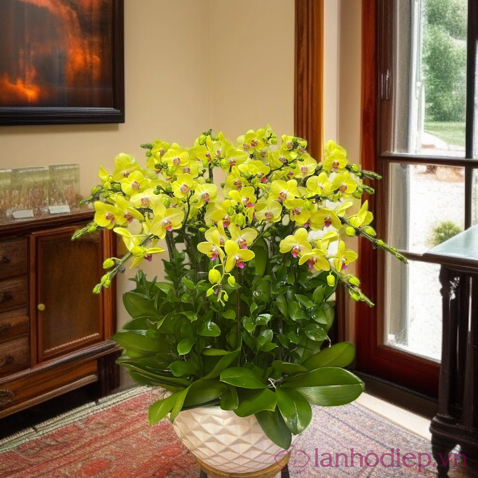 Chậu lan Hồ Điệp: Món quà ý nghĩa trong Lễ Phật Đản