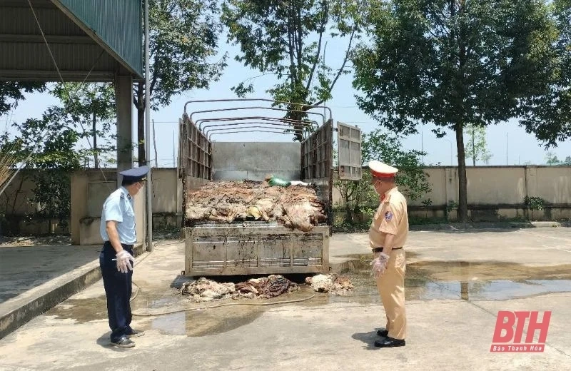 Tiêu hủy gần 5 tấn da trâu, bò không rõ nguồn gốc, xuất xứ