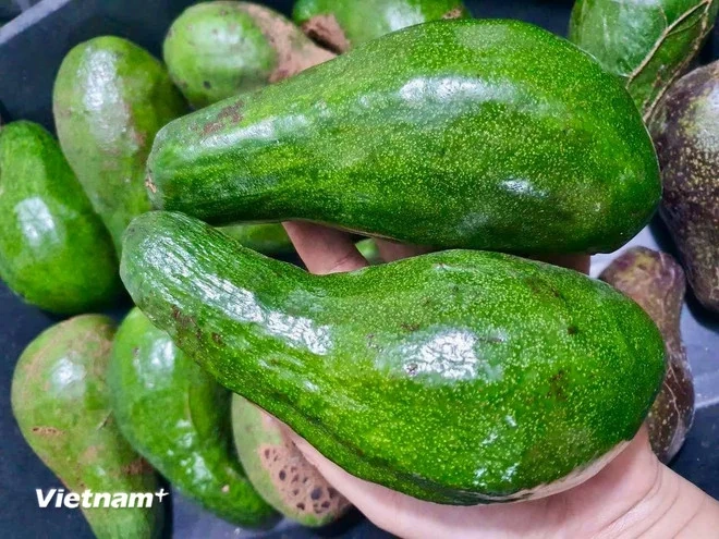 Những loại trái cây người bệnh mỡ máu nên ăn hằng ngày