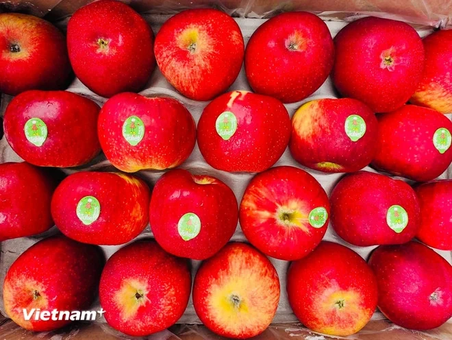 Những loại trái cây người bệnh mỡ máu nên ăn hằng ngày