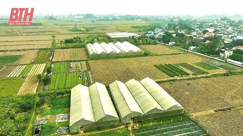 Hiểu đúng về sử dụng đất kết hợp đa mục đích