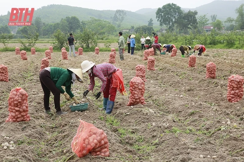 Xây dựng chuỗi cung ứng sản phẩm nông nghiệp