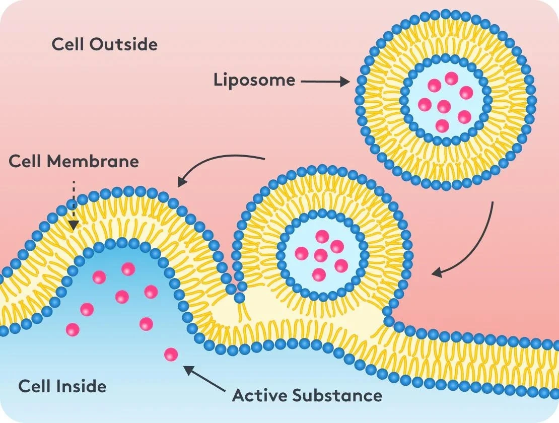 Ngủ sâu, giảm stress với Liposomal Magnesium Glycinate