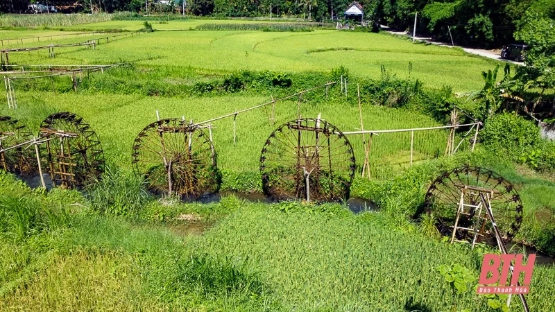 Guồng nước - một nét văn hóa miền Tây xứ Thanh