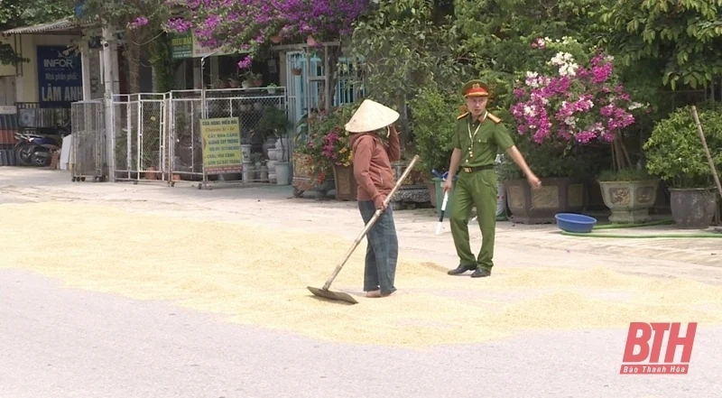 Tiềm ẩn nguy cơ mất an toàn giao thông từ việc phơi lúa trên đường
