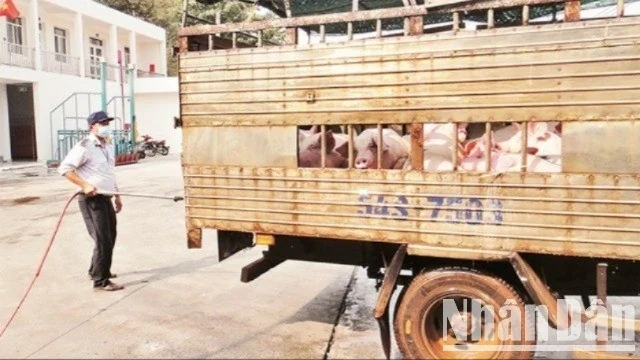 Bộ Nông nghiệp và Môi trường chỉ đạo làm rõ vụ đóng dấu kiểm dịch sai