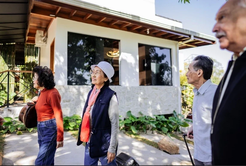 Việt Nam đón lượng khách quốc tế kỷ lục trong năm 2025