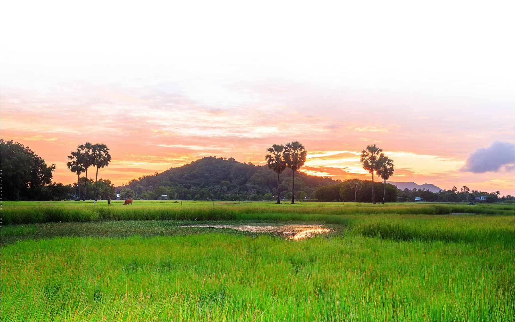[Emagazin]: Từ ô cửa nhỏ