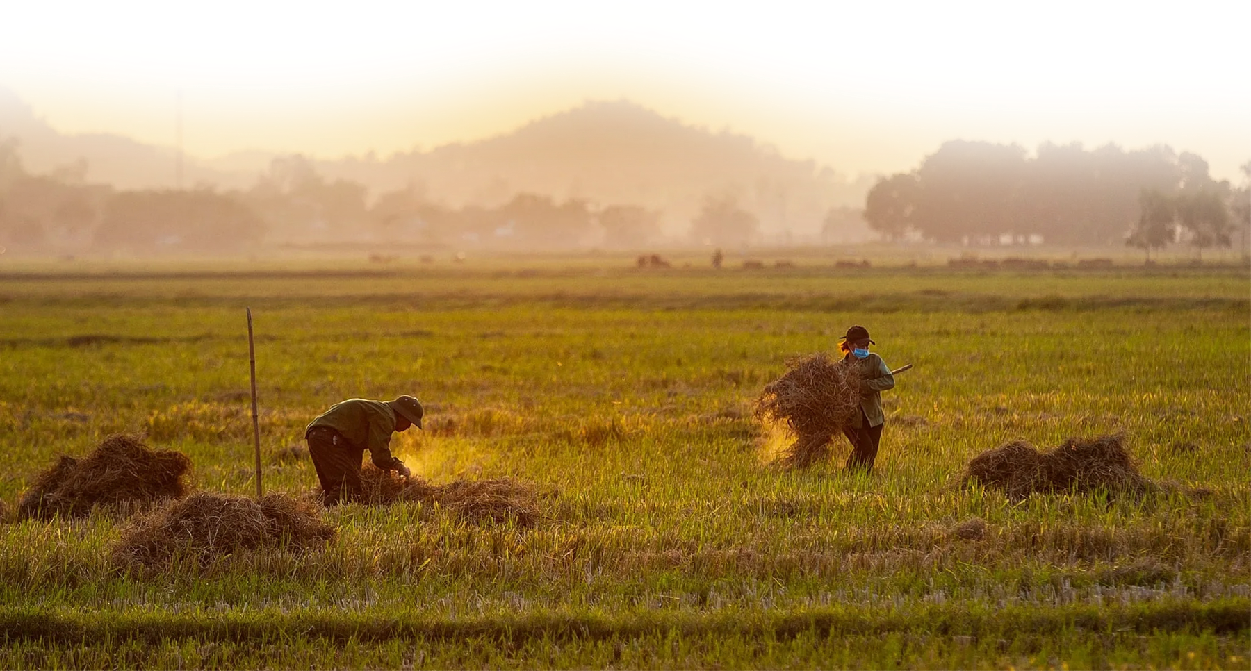 [Emagazine]: Lời ru của đất