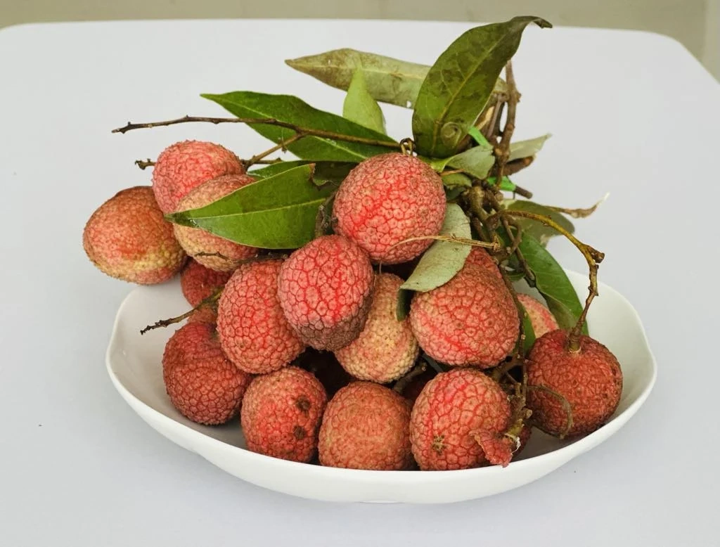 Người phụ nữ đi cấp cứu khi ăn hơn 100 quả vải, bác sĩ đưa ra cảnh báo quan trọng