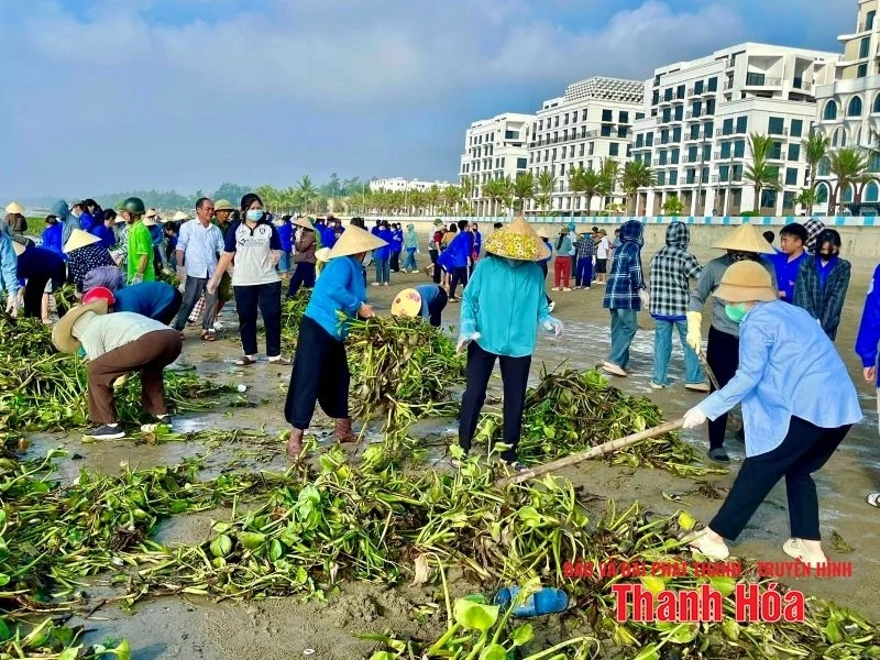 Phường Nam Sầm Sơn đồng loạt ra quân dọn vệ sinh môi trường biển