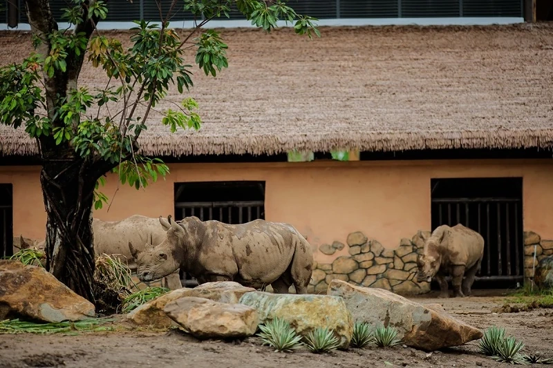 Khai trương VinWonders Vũ Yên - Tâm điểm vui chơi giải trí và vườn thú lớn nhất miền Bắc