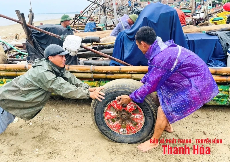 Ngư dân Thanh Hóa khẩn trương đưa tàu thuyền tránh trú bão an toàn