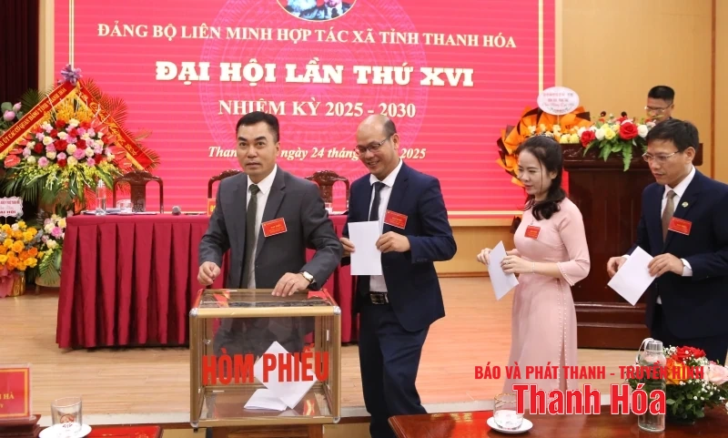 Xây dựng Liên minh HTX tỉnh tiếp tục là một trong những đơn vị tiên tiến trong khu vực kinh tế tập thể