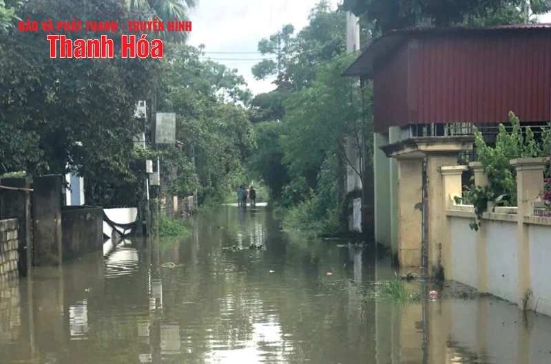 Khẩn trương khắc phục tình trạng 118 hộ dân bị ngập lụt tại xã Triệu Sơn