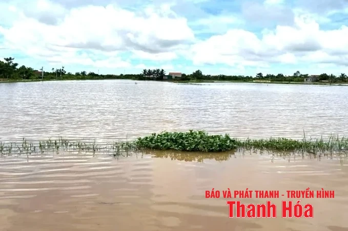 Chủ động ứng phó với mưa lớn, nguy cơ xảy ra lũ, ngập lụt, lũ quét, sạt lở đất