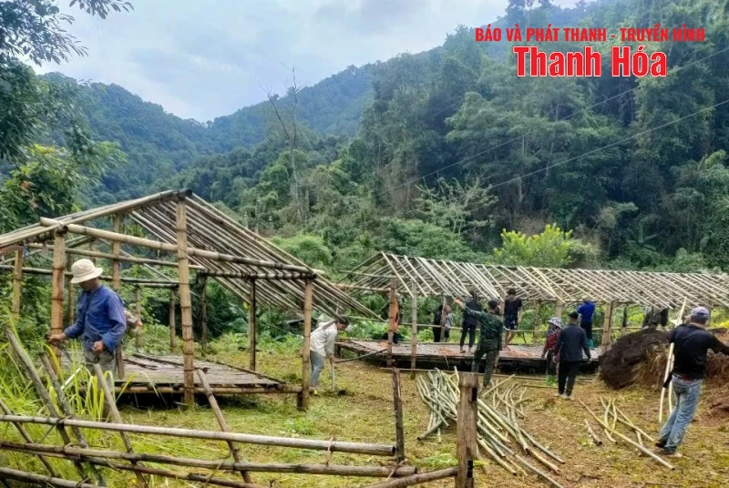 Nguy cơ sạt lở cao, xã biên giới Na Mèo dựng lán tạm, sẵn sàng di dân