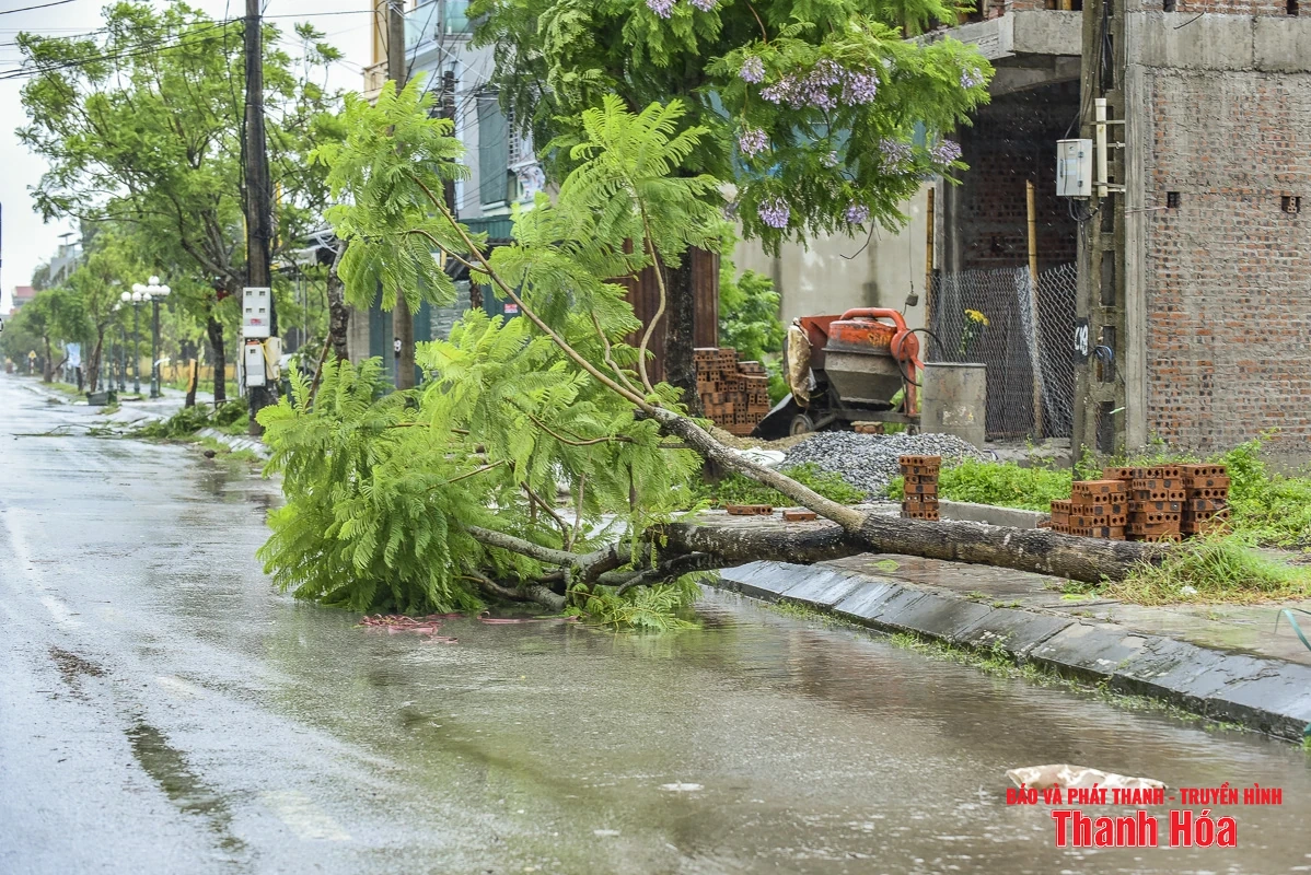 Cây xanh bật gốc, biển hiệu gãy đổ do bão số 3