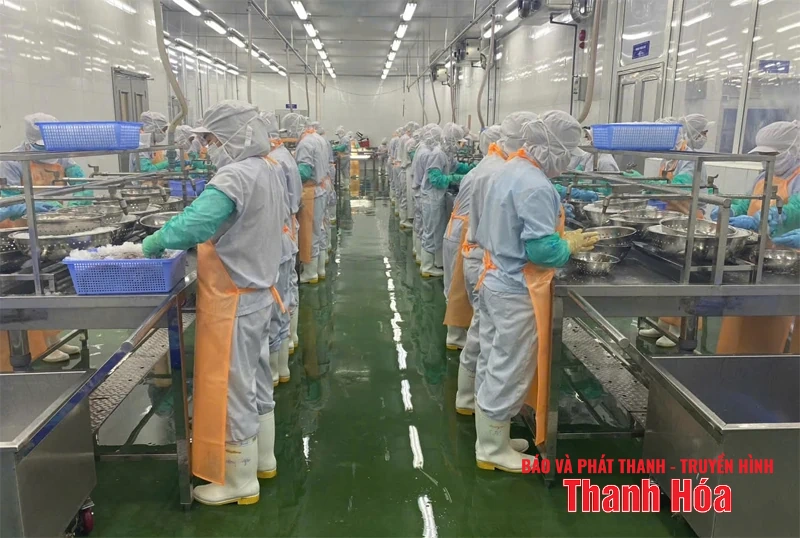 Nâng tầm giá trị thủy sản Sầm Sơn