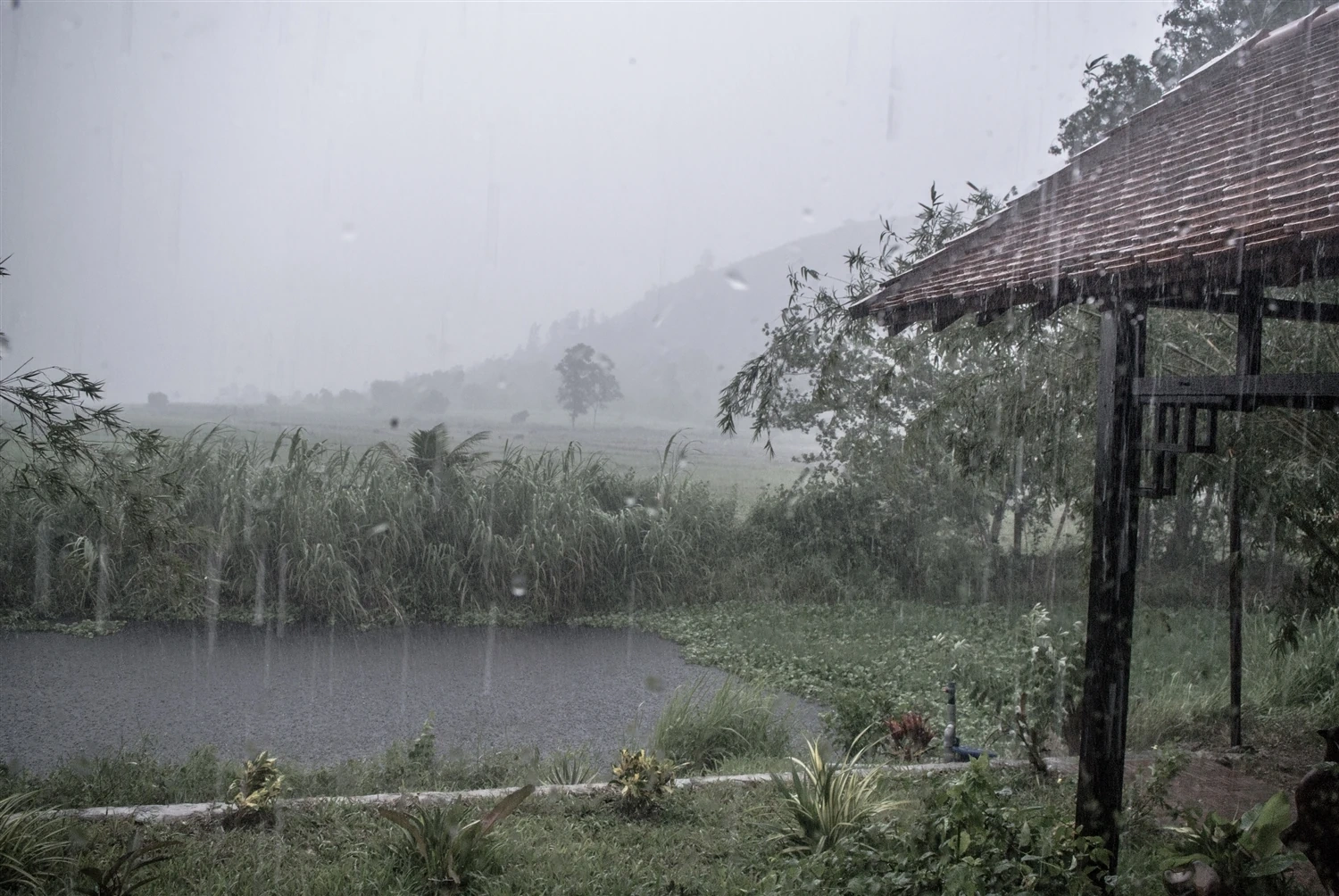 [E-Magazine]: Những ô cửa lắng đầy ký ức